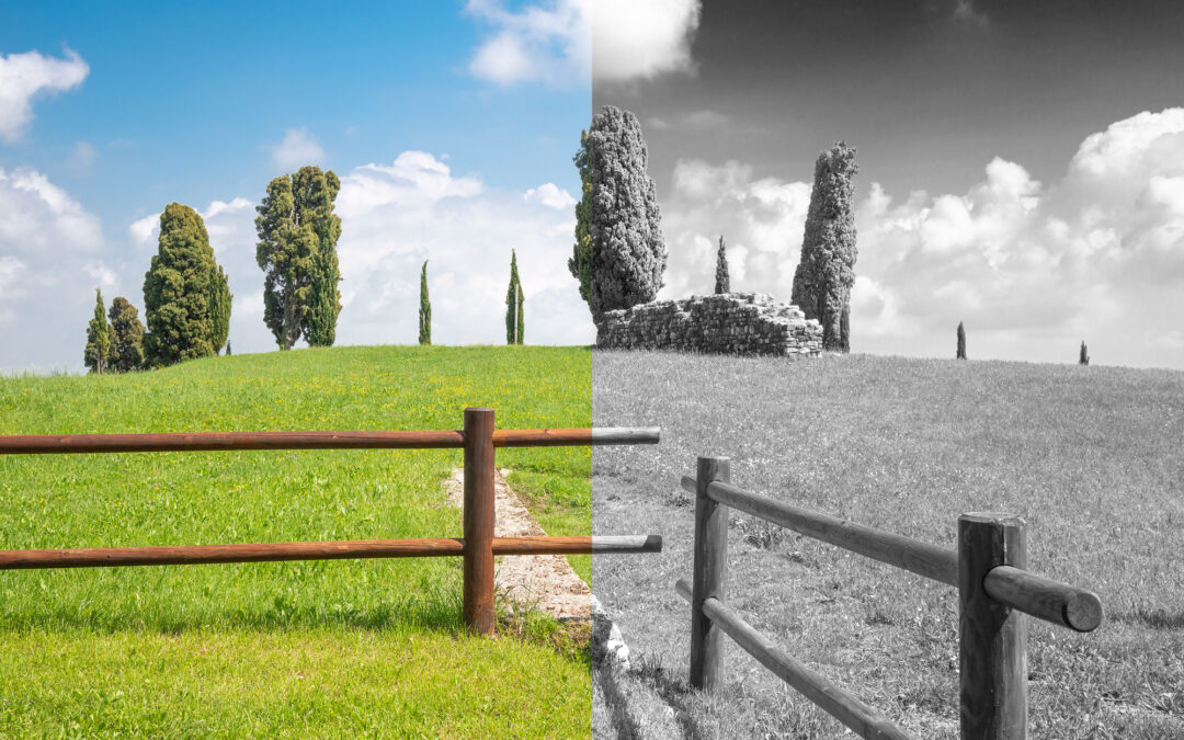 Introduzione alla post produzione fotografica 2024-02