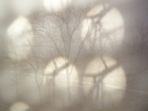 Enzo Forner